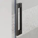 shower door